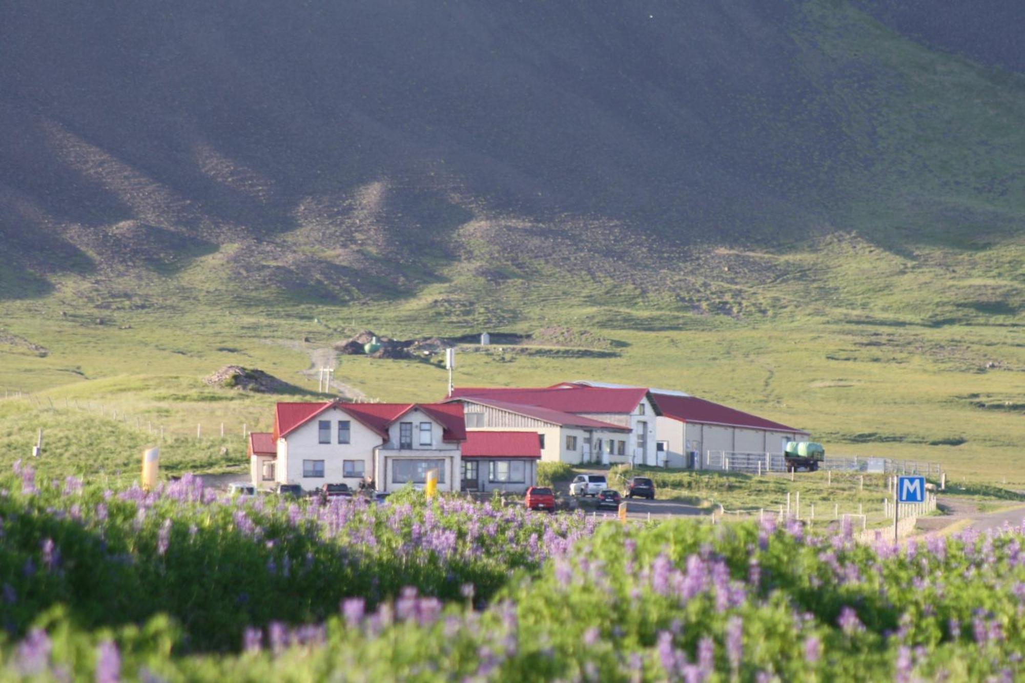 Hotel Lysuholl Snæfellsbær Zewnętrze zdjęcie